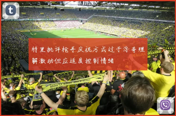 特里批评枪手庆祝方式过于浮夸理解激动但应适度控制情绪