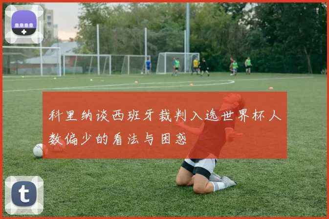 科里纳谈西班牙裁判入选世界杯人数偏少的看法与困惑